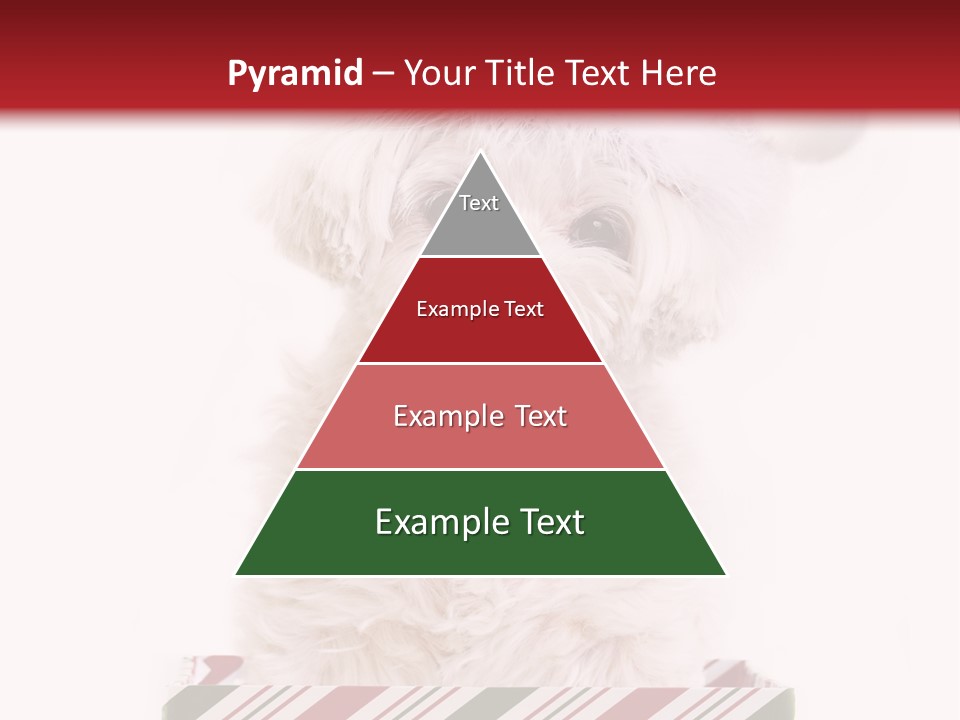 Dog In Santa Hat PowerPoint Template