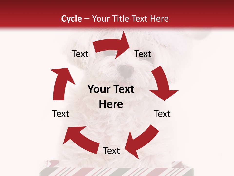 Dog In Santa Hat PowerPoint Template