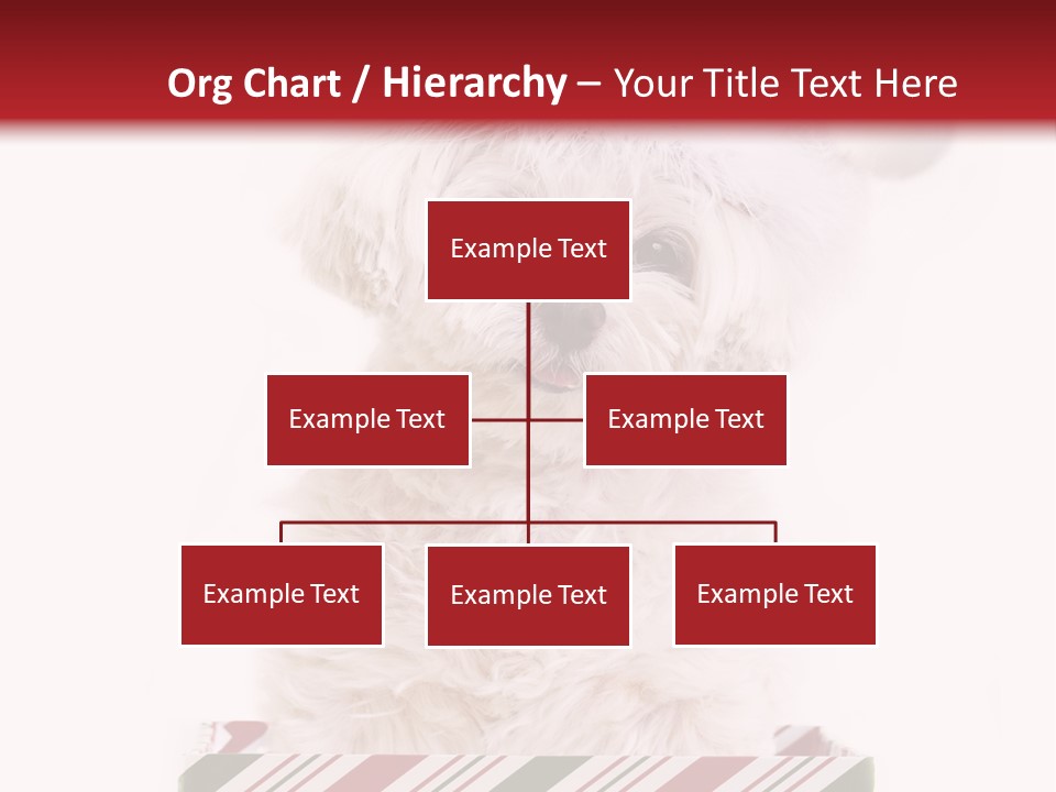 Dog In Santa Hat PowerPoint Template