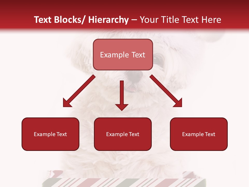 Dog In Santa Hat PowerPoint Template