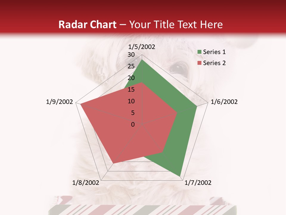 Dog In Santa Hat PowerPoint Template