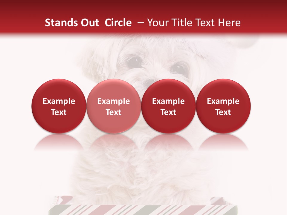 Dog In Santa Hat PowerPoint Template