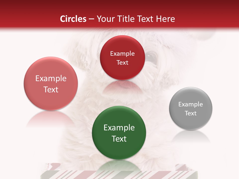 Dog In Santa Hat PowerPoint Template
