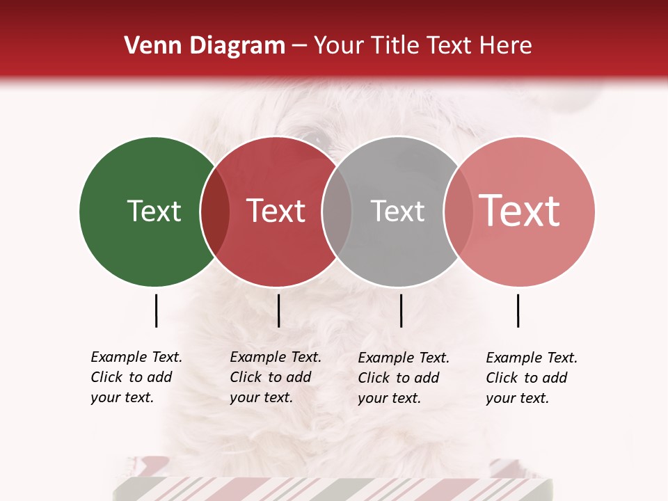 Dog In Santa Hat PowerPoint Template