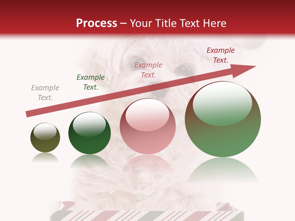 Dog In Santa Hat PowerPoint Template