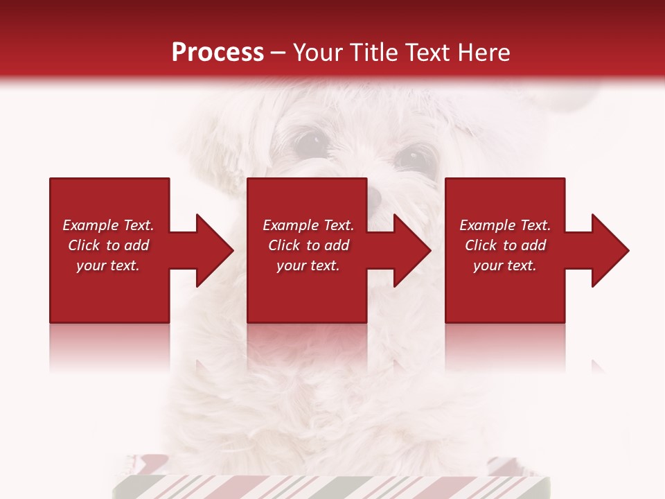 Dog In Santa Hat PowerPoint Template