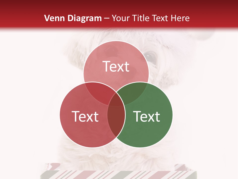 Dog In Santa Hat PowerPoint Template