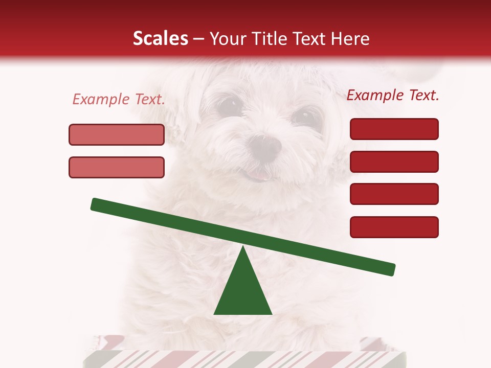 Dog In Santa Hat PowerPoint Template
