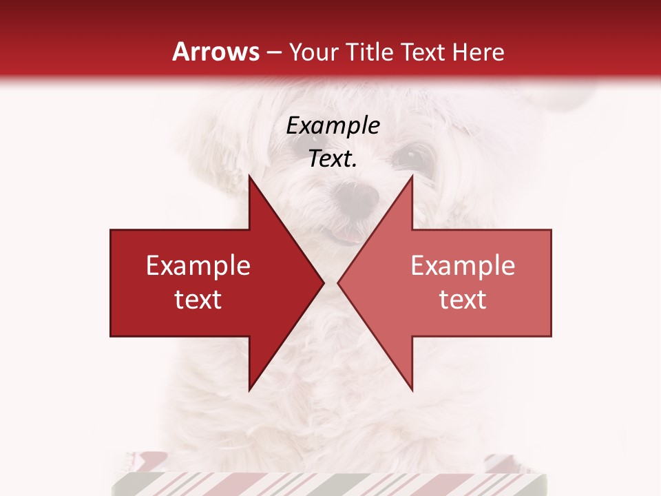 Dog In Santa Hat PowerPoint Template