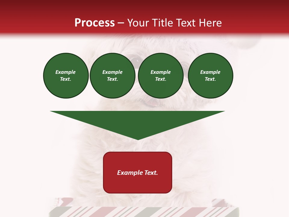 Dog In Santa Hat PowerPoint Template