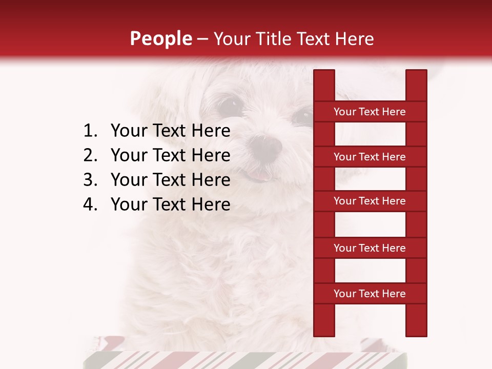 Dog In Santa Hat PowerPoint Template