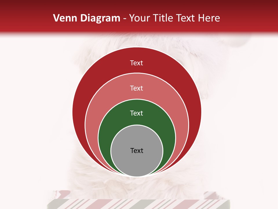 Dog In Santa Hat PowerPoint Template