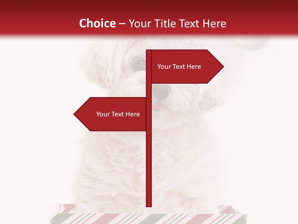 Dog In Santa Hat PowerPoint Template