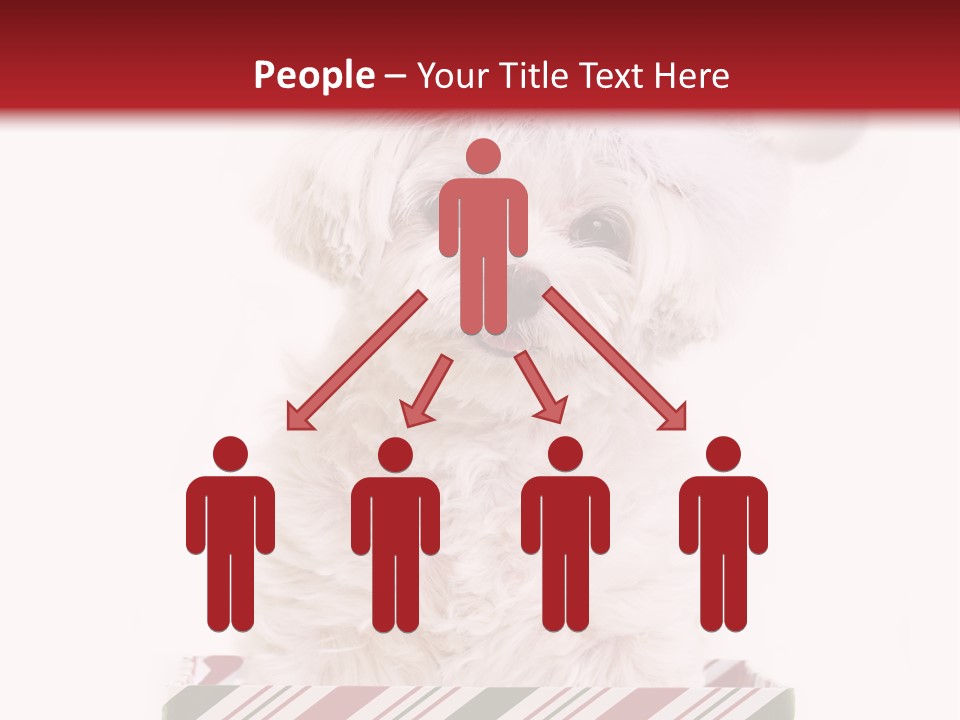 Dog In Santa Hat PowerPoint Template