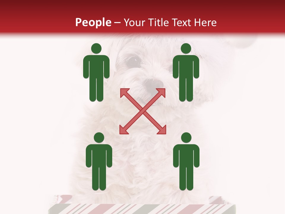 Dog In Santa Hat PowerPoint Template
