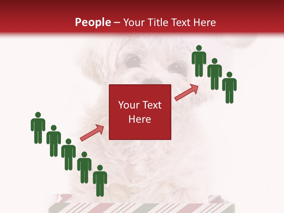 Dog In Santa Hat PowerPoint Template