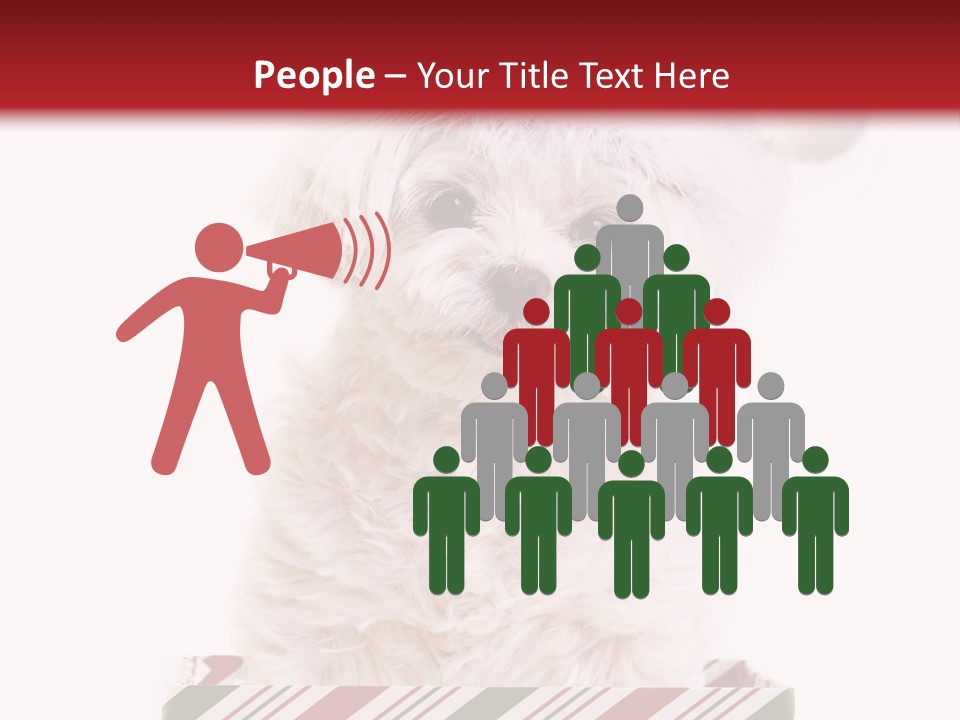 Dog In Santa Hat PowerPoint Template