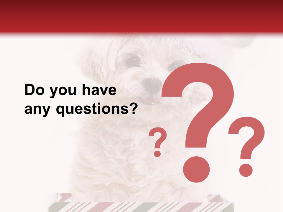 Dog In Santa Hat PowerPoint Template