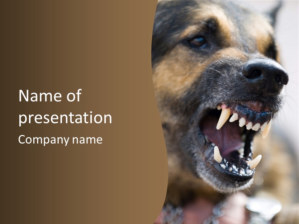 Furious Dog PowerPoint Template