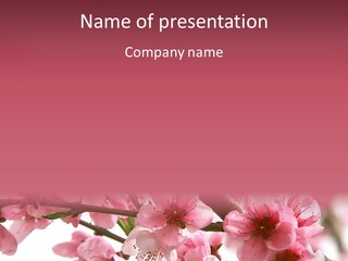 Peach Flowers And Reflection Over White PowerPoint Template