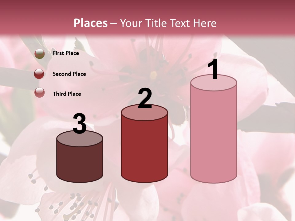 Peach Flowers And Reflection Over White PowerPoint Template