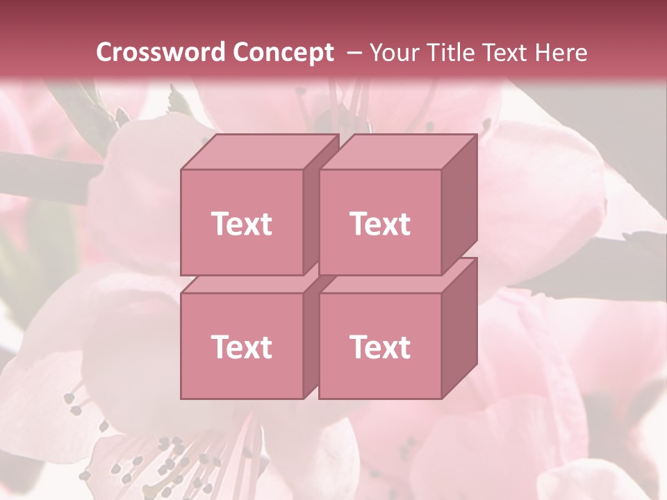 Peach Flowers And Reflection Over White PowerPoint Template
