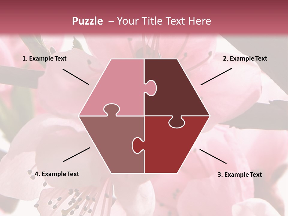 Peach Flowers And Reflection Over White PowerPoint Template