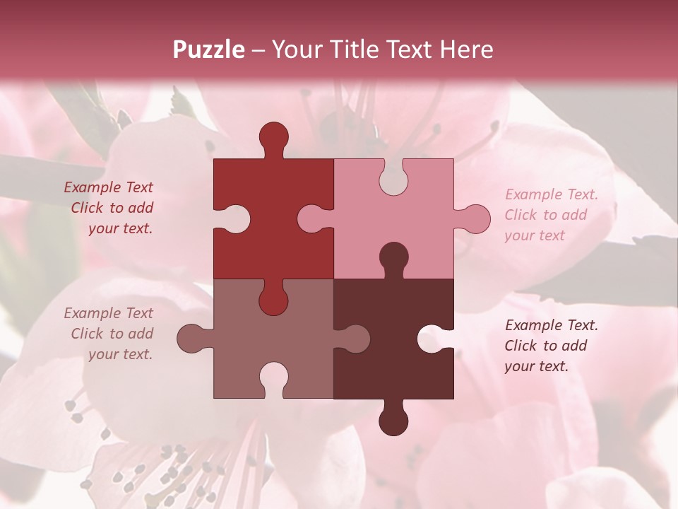 Peach Flowers And Reflection Over White PowerPoint Template