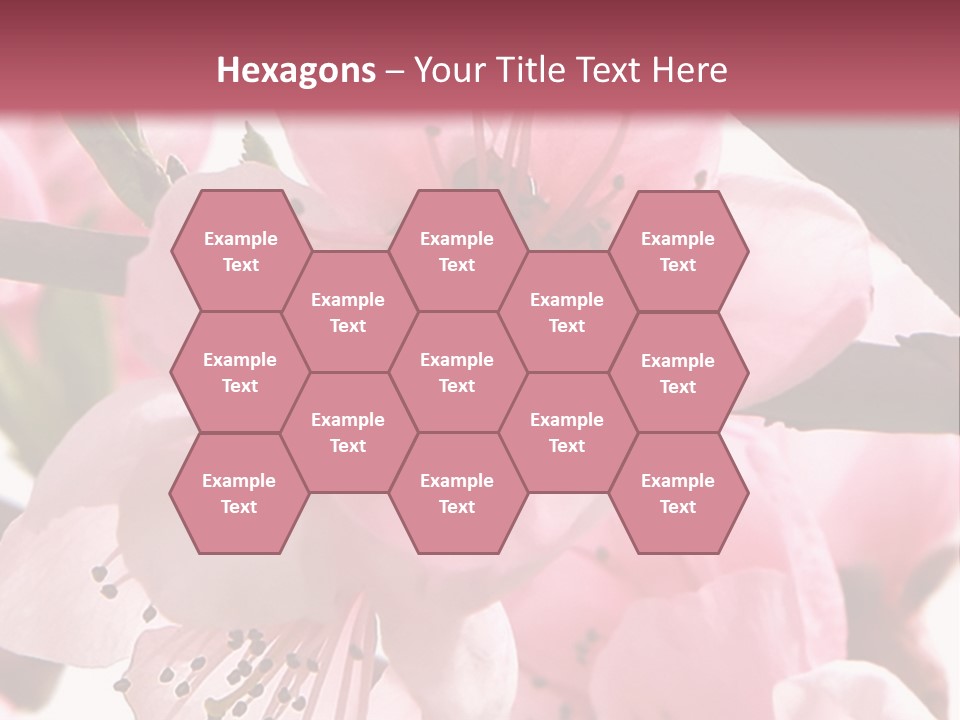 Peach Flowers And Reflection Over White PowerPoint Template