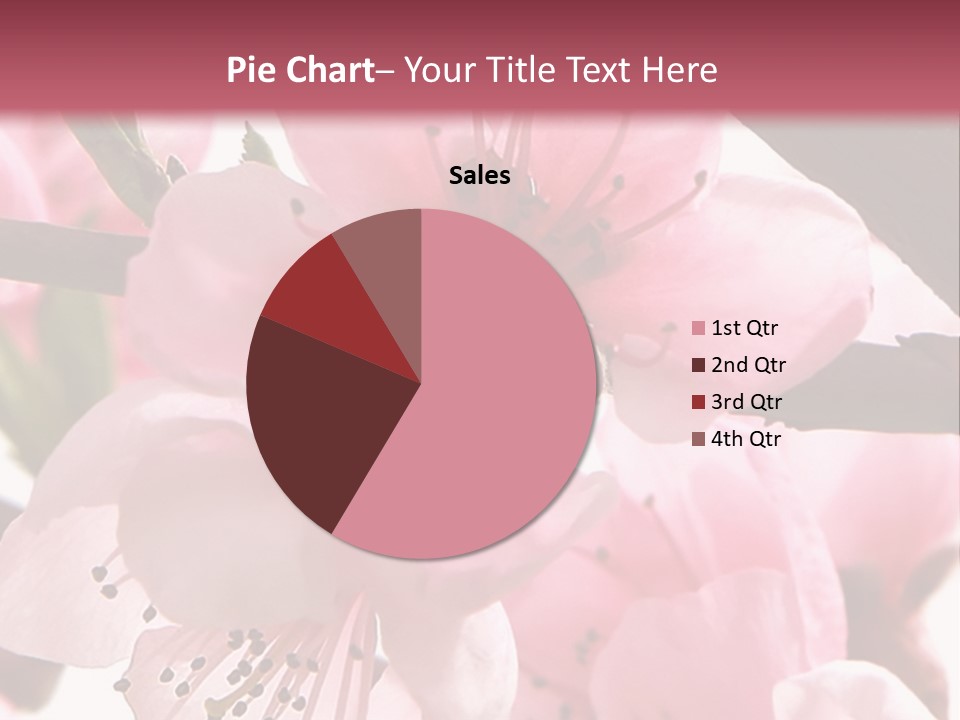 Peach Flowers And Reflection Over White PowerPoint Template