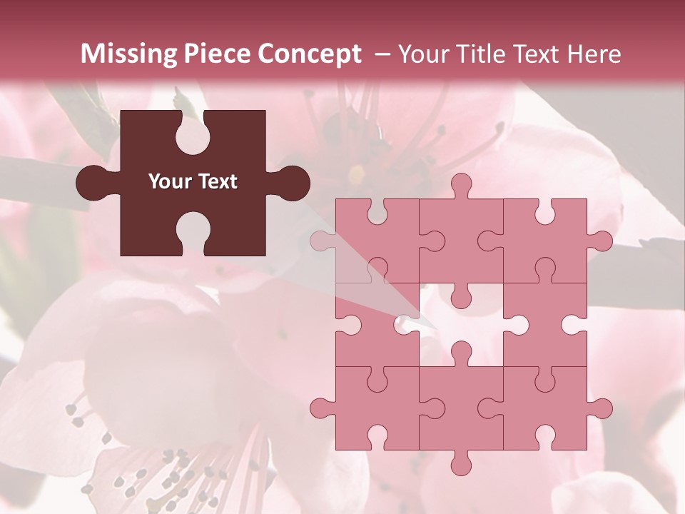 Peach Flowers And Reflection Over White PowerPoint Template