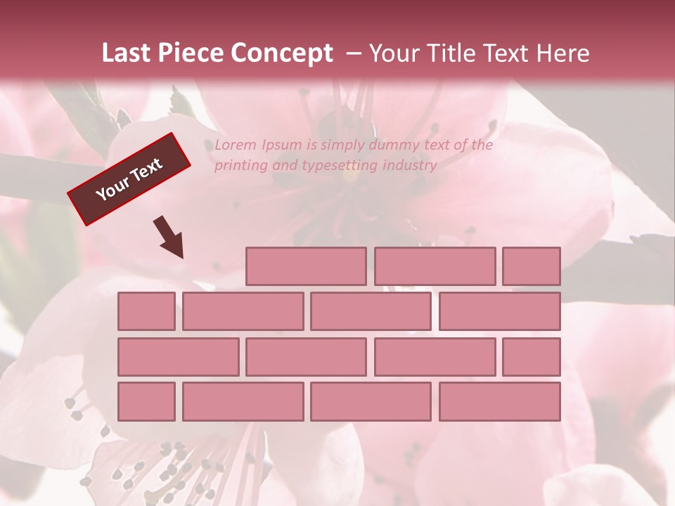 Peach Flowers And Reflection Over White PowerPoint Template
