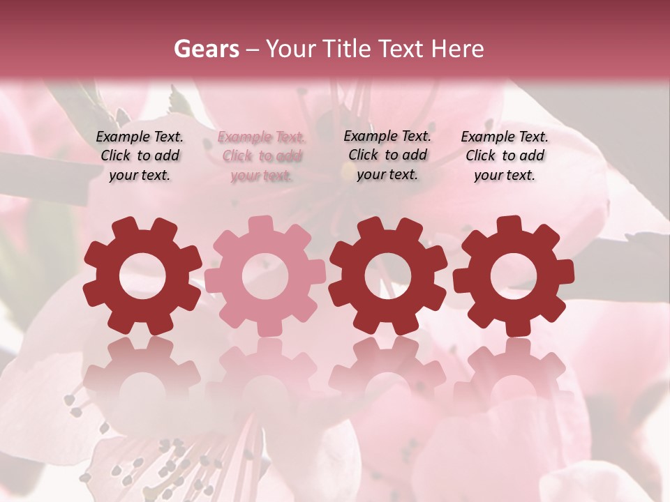 Peach Flowers And Reflection Over White PowerPoint Template