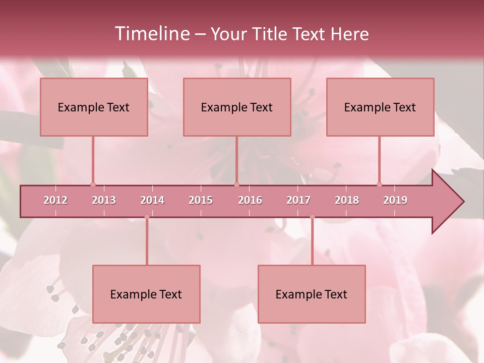 Peach Flowers And Reflection Over White PowerPoint Template