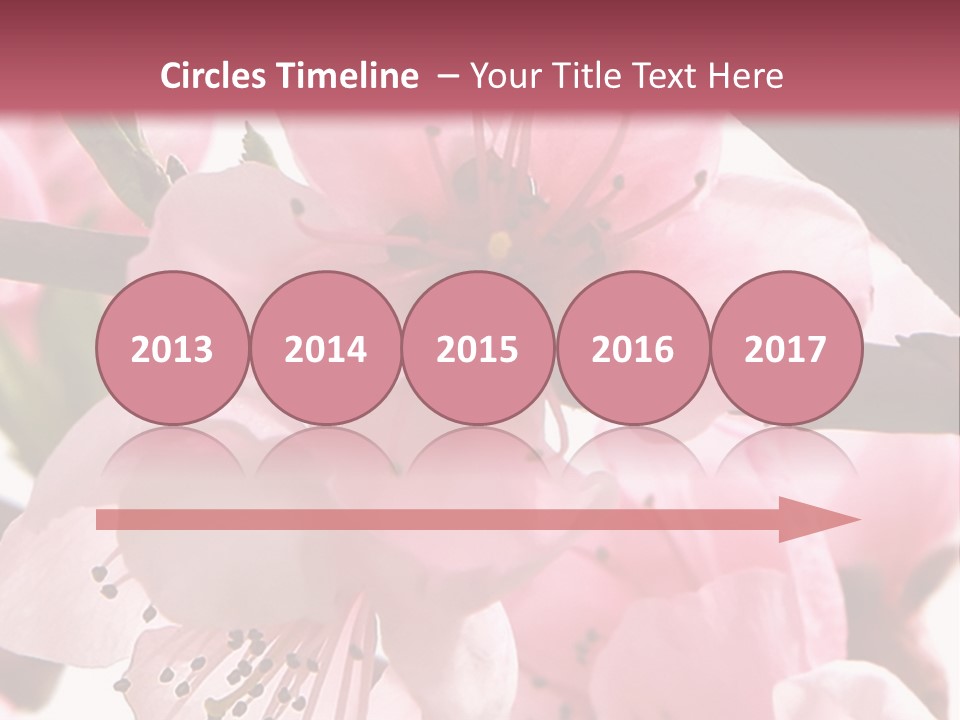 Peach Flowers And Reflection Over White PowerPoint Template