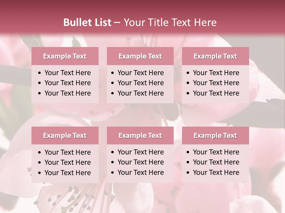 Peach Flowers And Reflection Over White PowerPoint Template