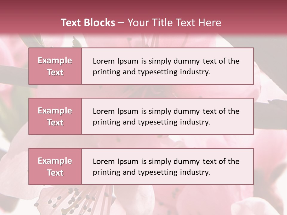 Peach Flowers And Reflection Over White PowerPoint Template