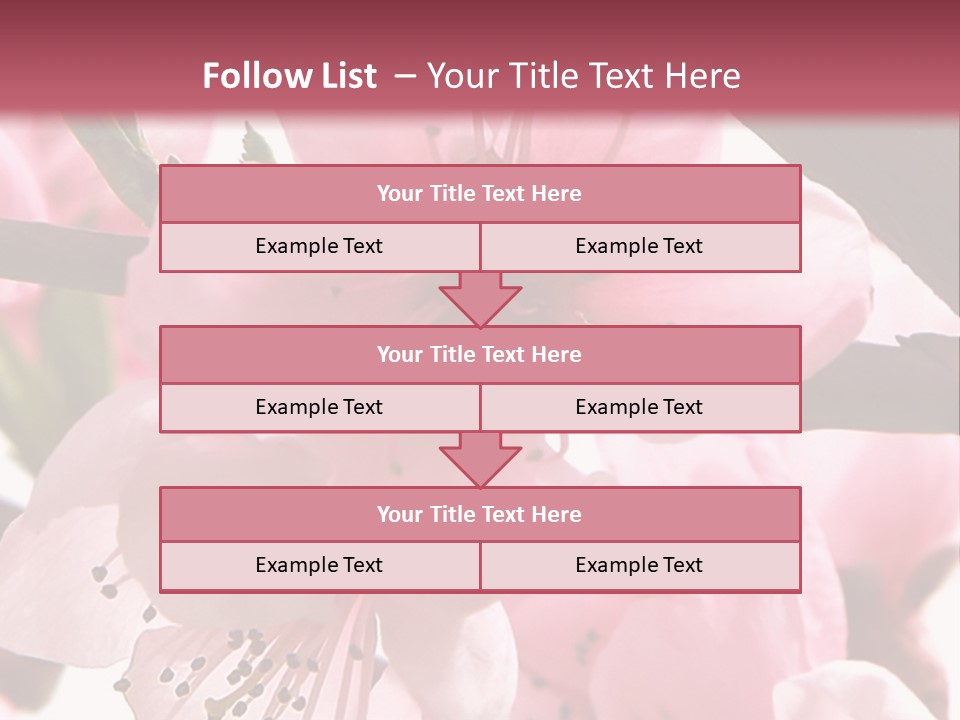 Peach Flowers And Reflection Over White PowerPoint Template