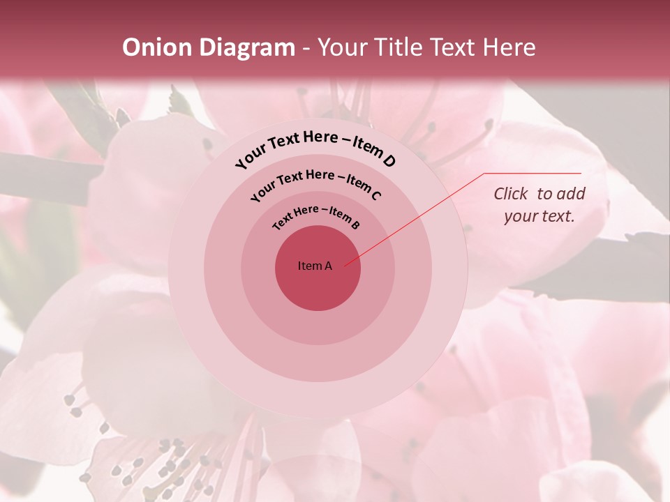 Peach Flowers And Reflection Over White PowerPoint Template