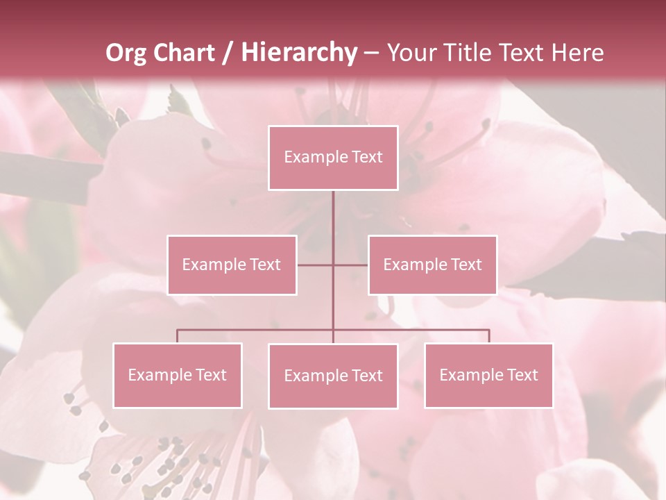 Peach Flowers And Reflection Over White PowerPoint Template