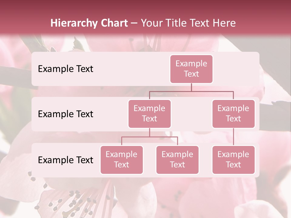 Peach Flowers And Reflection Over White PowerPoint Template