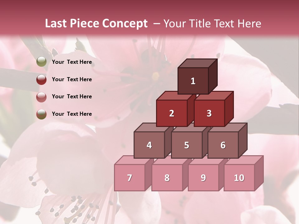 Peach Flowers And Reflection Over White PowerPoint Template