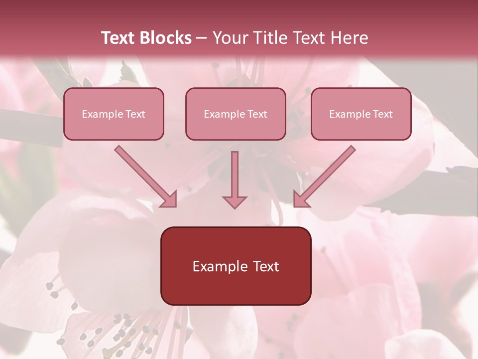 Peach Flowers And Reflection Over White PowerPoint Template