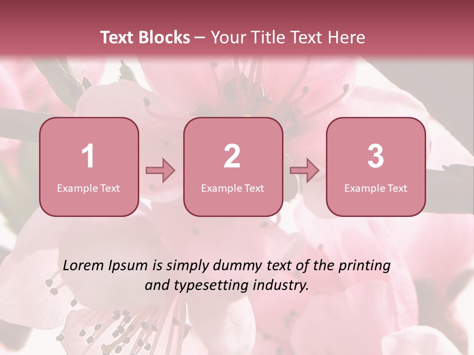 Peach Flowers And Reflection Over White PowerPoint Template