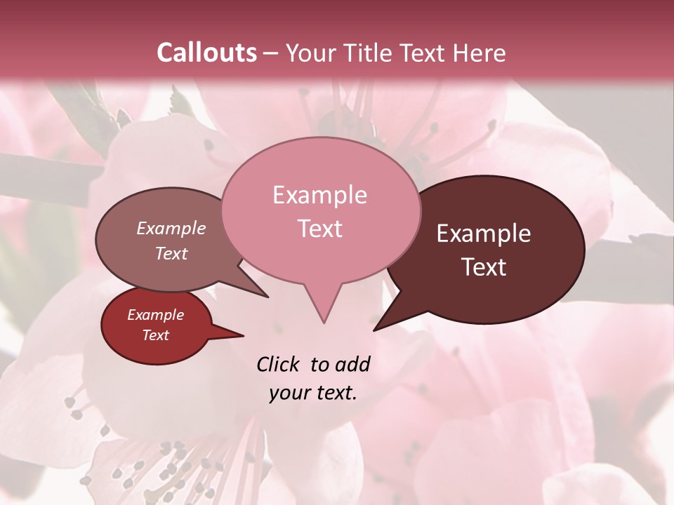 Peach Flowers And Reflection Over White PowerPoint Template