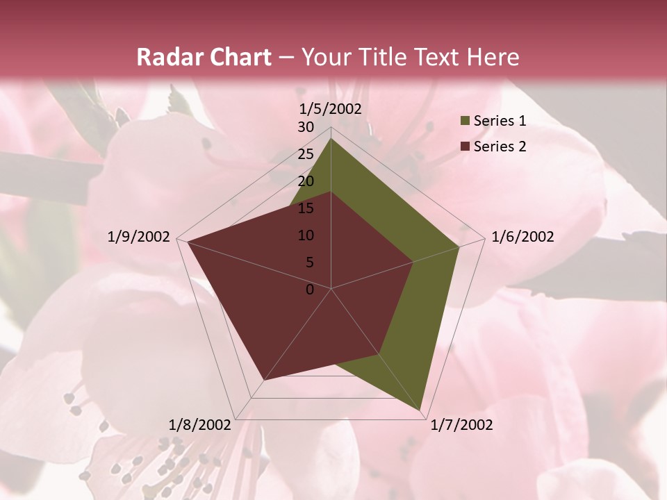 Peach Flowers And Reflection Over White PowerPoint Template