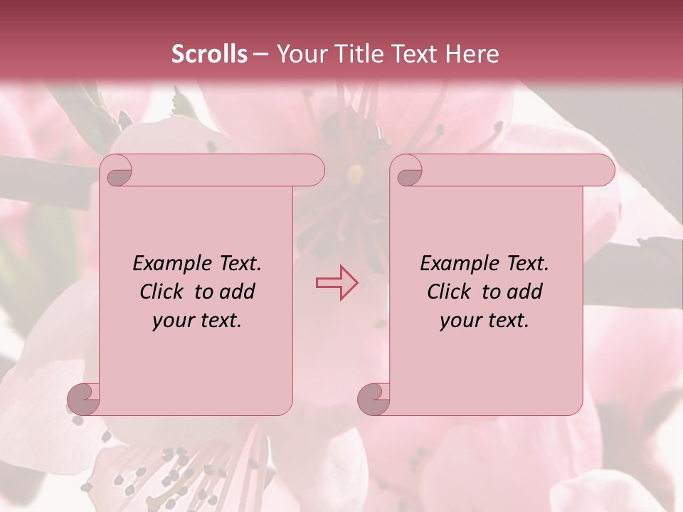 Peach Flowers And Reflection Over White PowerPoint Template