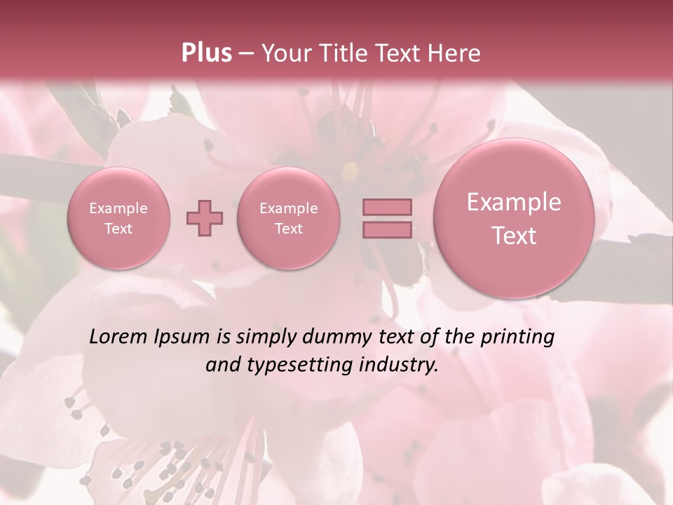 Peach Flowers And Reflection Over White PowerPoint Template