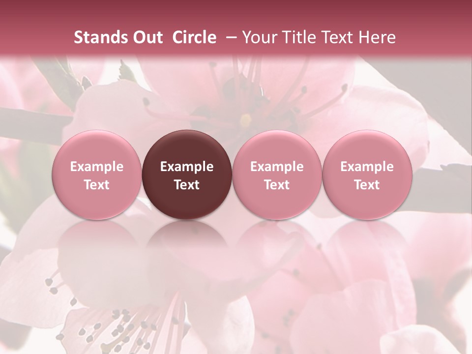 Peach Flowers And Reflection Over White PowerPoint Template
