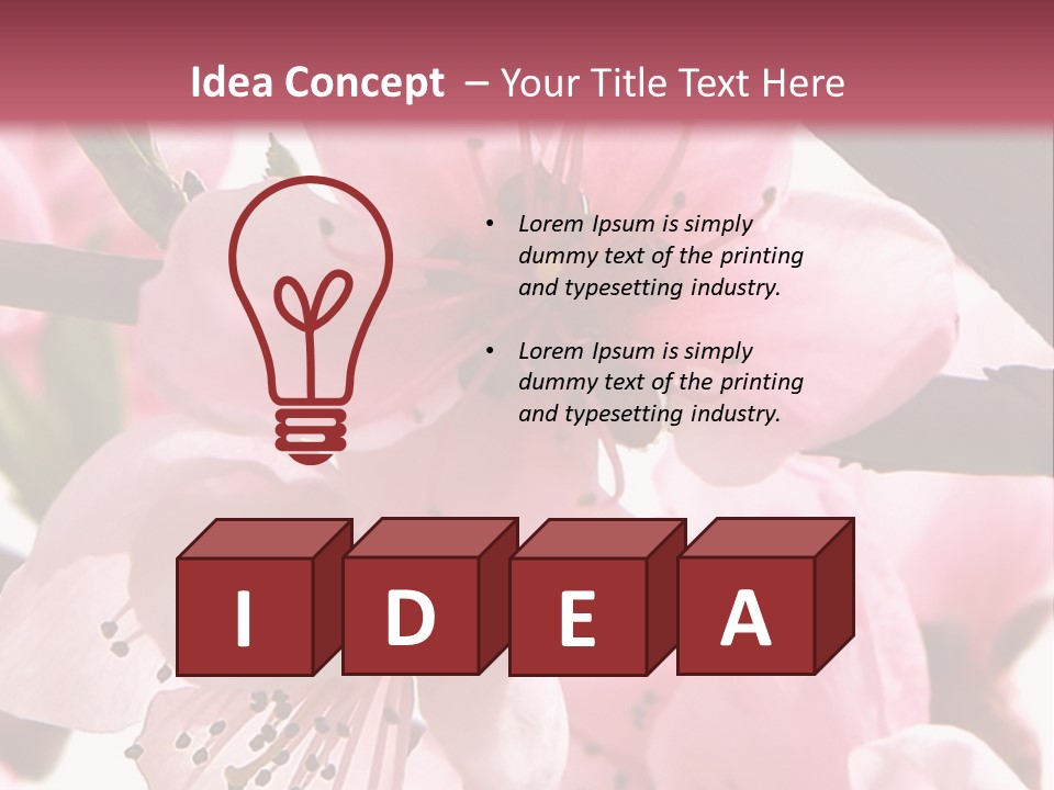 Peach Flowers And Reflection Over White PowerPoint Template